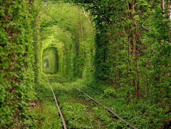 Tunnel of Love – Ukraine