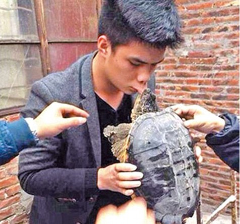 kiss-turtle