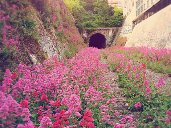 image003