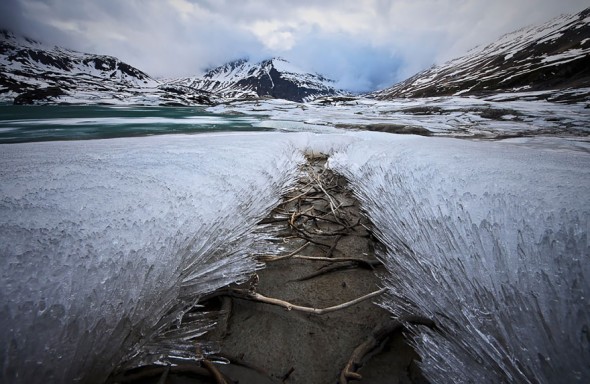 #16 Frozen Grass