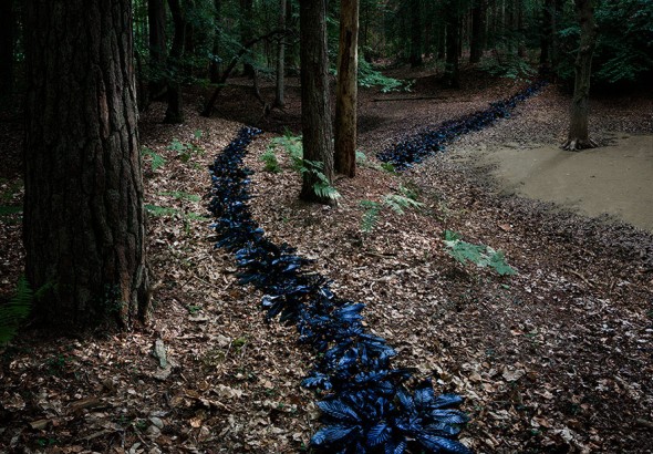 surreal-forest-photograhy-ellie-davis-11__880