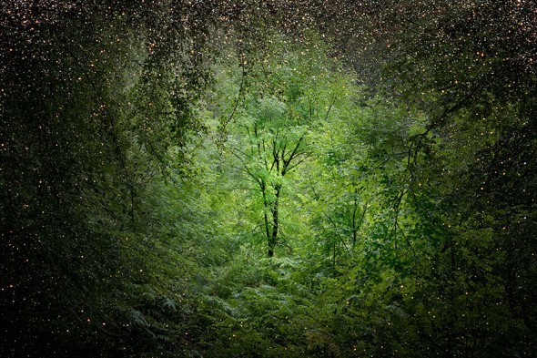 surreal-forest-photograhy-ellie-davis-12__880