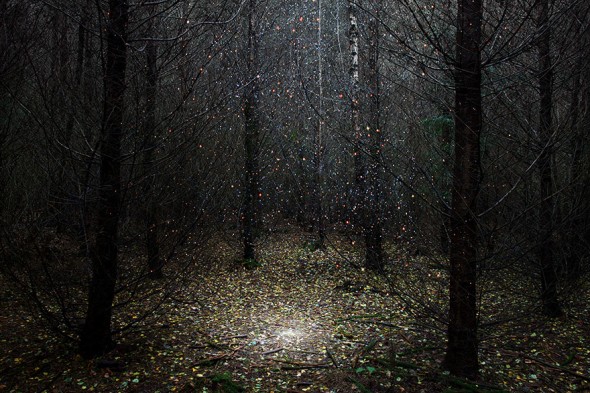 surreal-forest-photograhy-ellie-davis-1__880