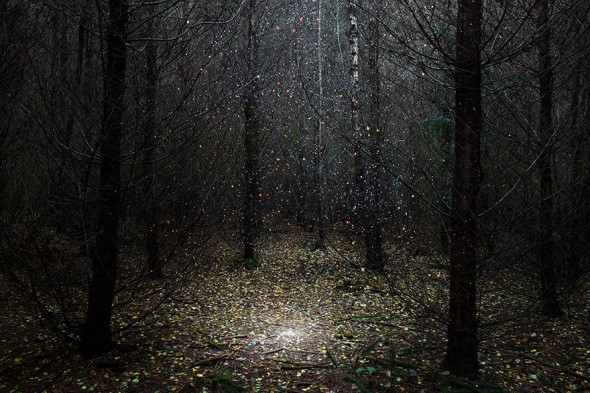 surreal-forest-photograhy-ellie-davis-1__880