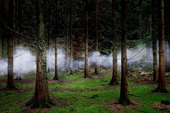 surreal-forest-photograhy-ellie-davis-2__880