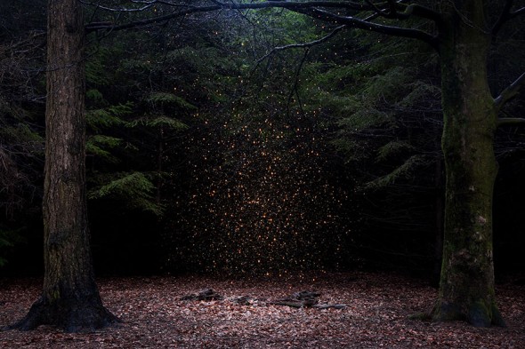 surreal-forest-photograhy-ellie-davis-7__880