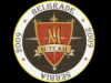 Bravarska radnja M-Team