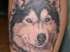 Tattoo studio Ego