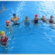 Plivački klub Tri Delfina