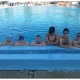 Plivački klub Tri Delfina