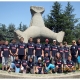 Plivački klub Tri Delfina