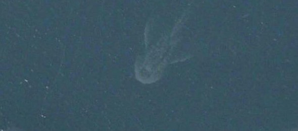 ££-Satellite-image-showing-what-could-be-the-Loch-Ness-monster-3427978