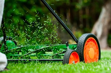 kosenje-trave-radio-pingvin-dobro-je-znati